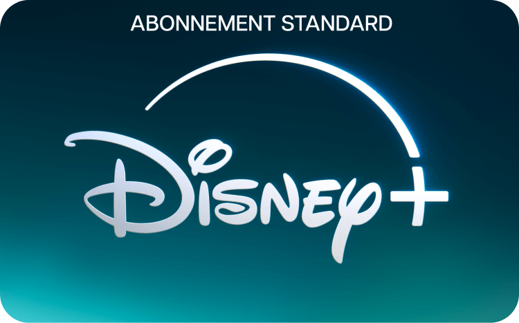 Disney Plus Standard